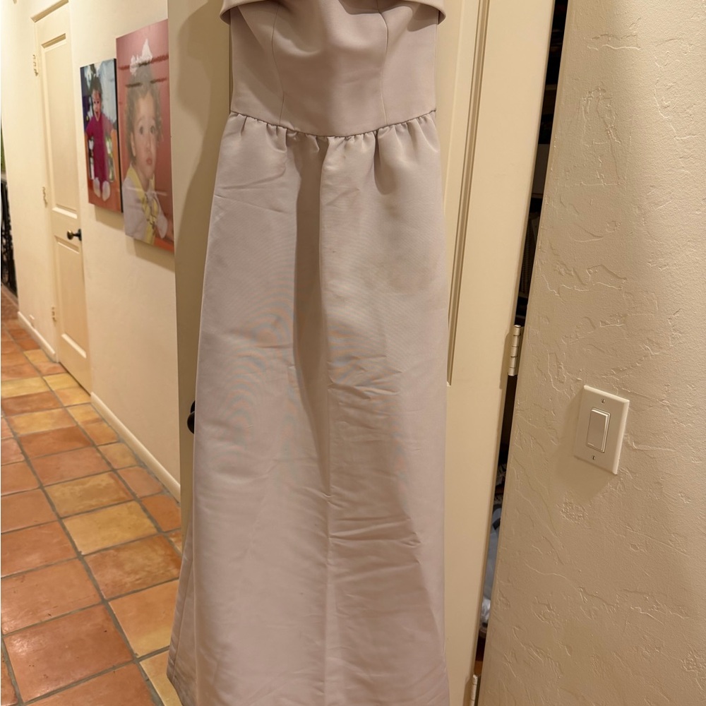 Amsale Soft Beige Dress
